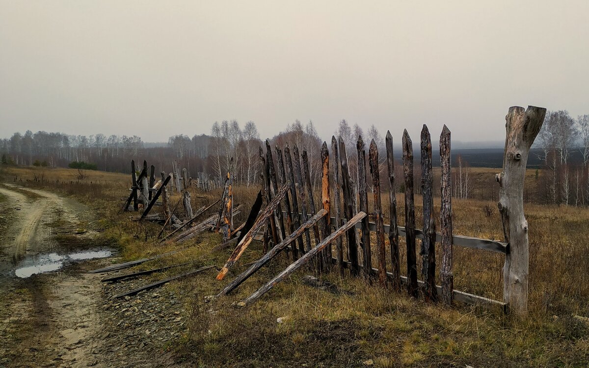 Странно - Олег Денисов