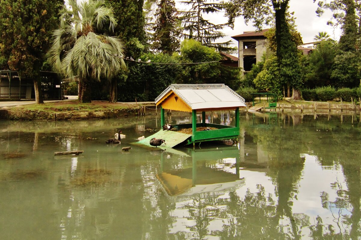 Приморский парк в Новом Афоне - Елена (ЛенаРа)