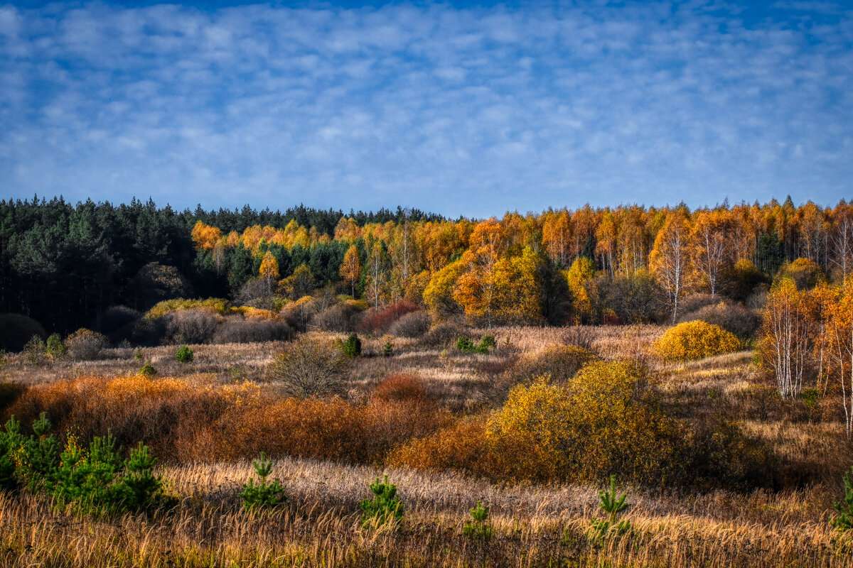 ОСЕНЬ - Mithun 