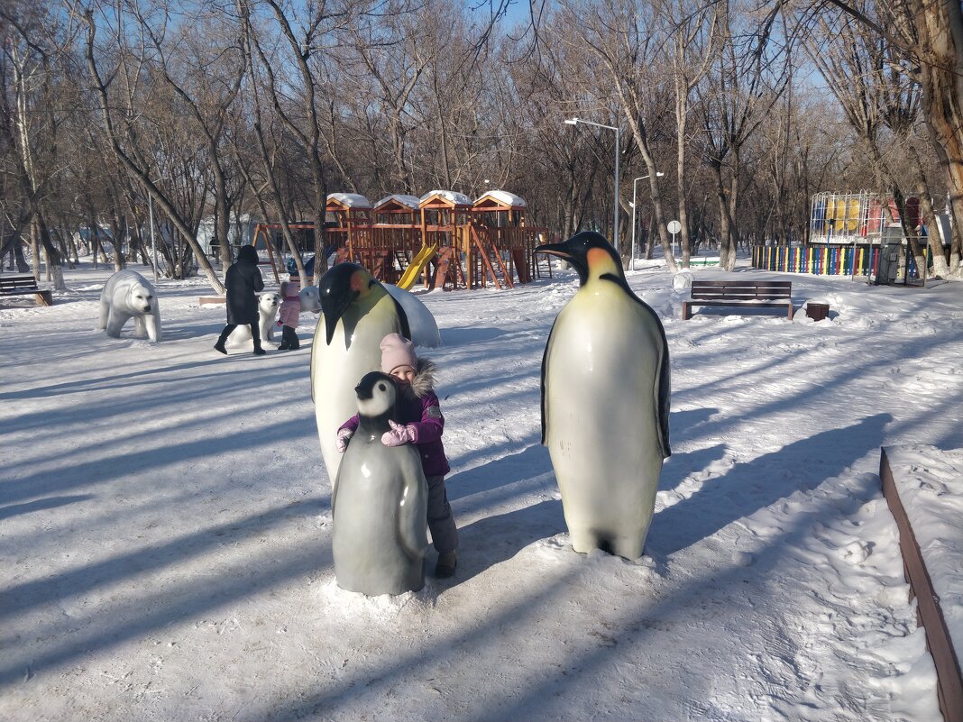 Пингвины - Андрей Хлопонин
