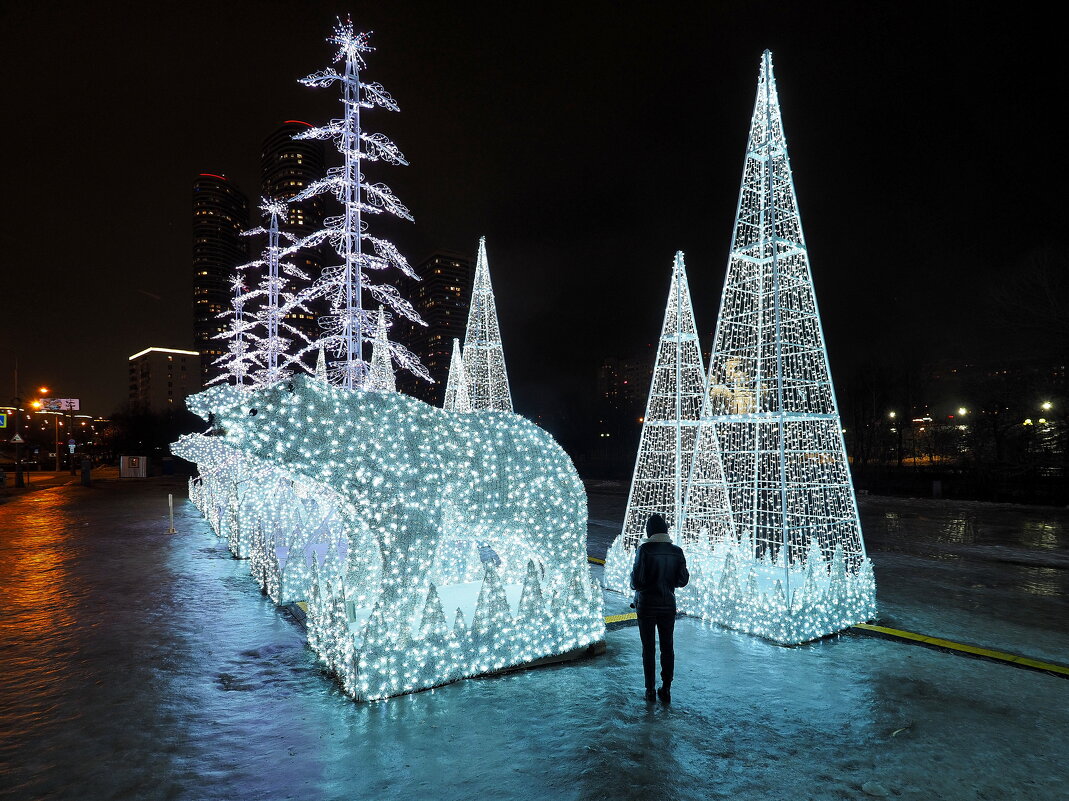 Часть новогодней световой инсталляции "Белые медведи" в Ростокино. - Евгений Седов