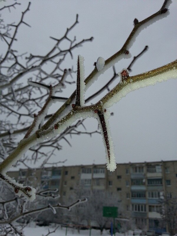 суровая защита - Сеня Белгородский