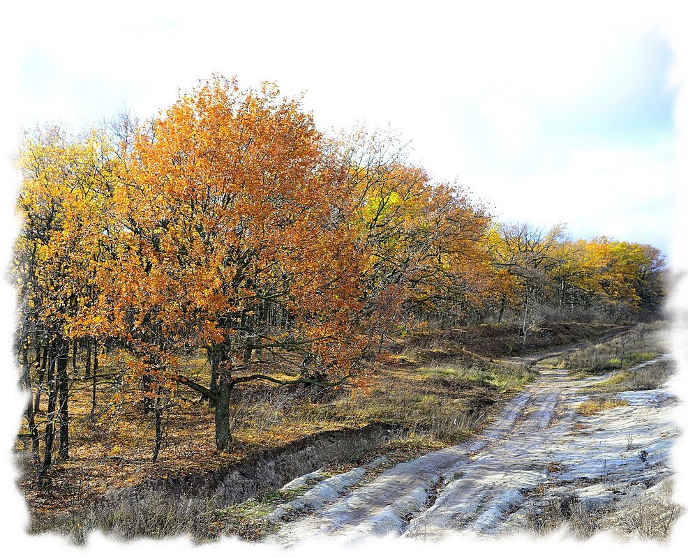 просто Осень - Сеня Белгородский