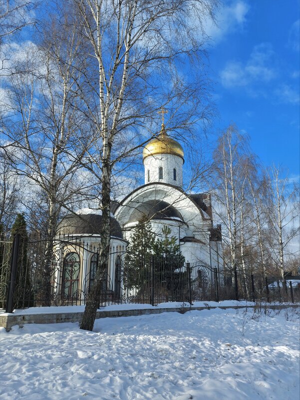 Церковь святой Евфросинии Московской - Константин Анисимов