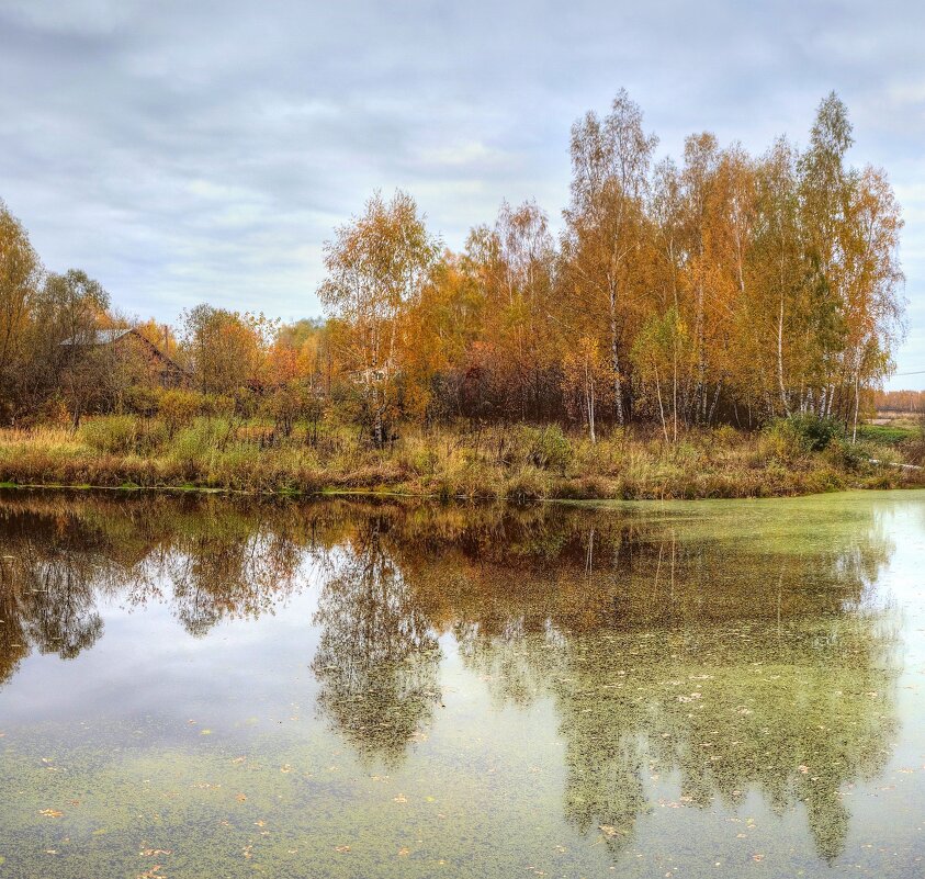 Осень - Константин 