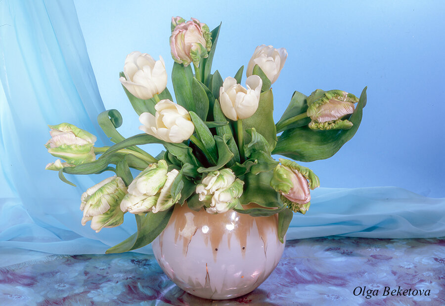 Белые тюльпаны - Ольга Бекетова