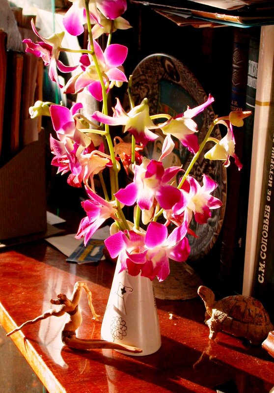 Праздник орхидеи..... - ГЕНРИХ 