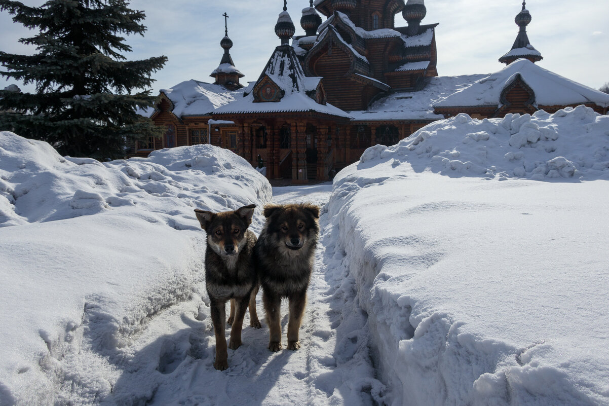 *** - Валерий Михмель 