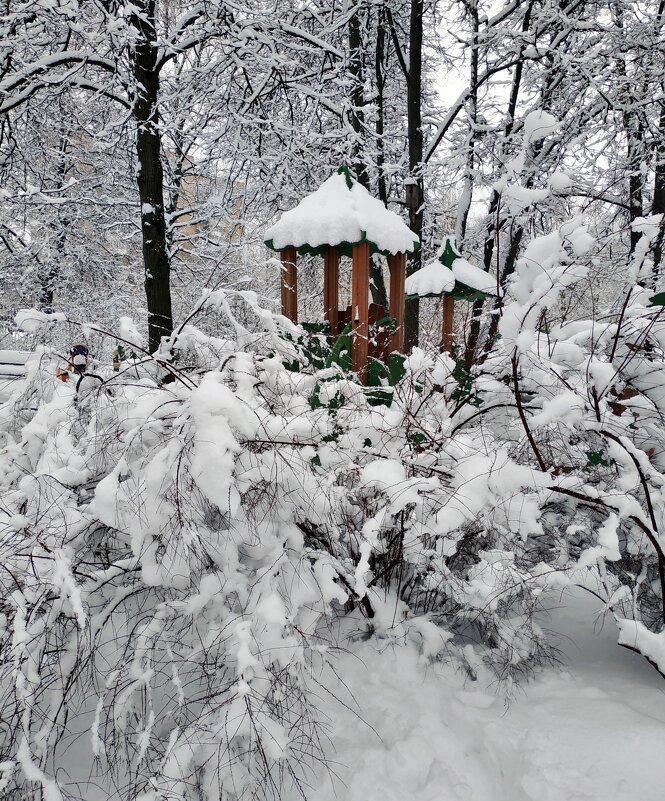 снежный декабрь - Валентина. .
