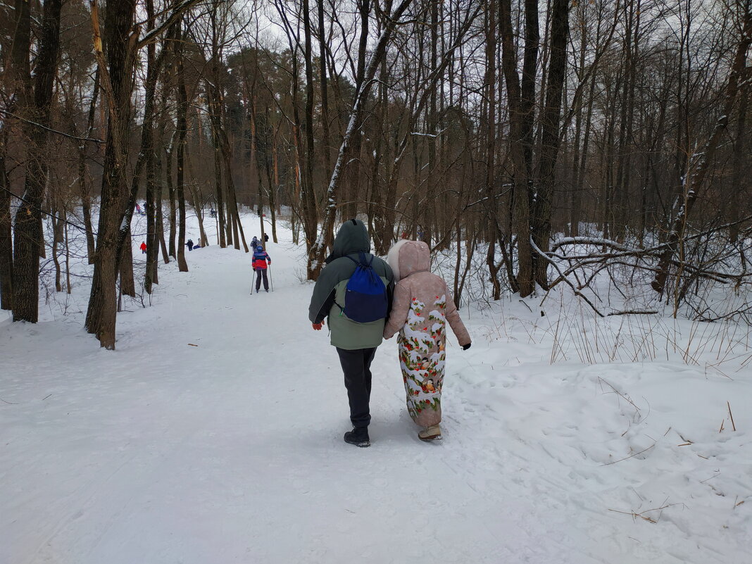 Такие, вот, "снегири" в Измайловском парке :-) - Андрей Лукьянов