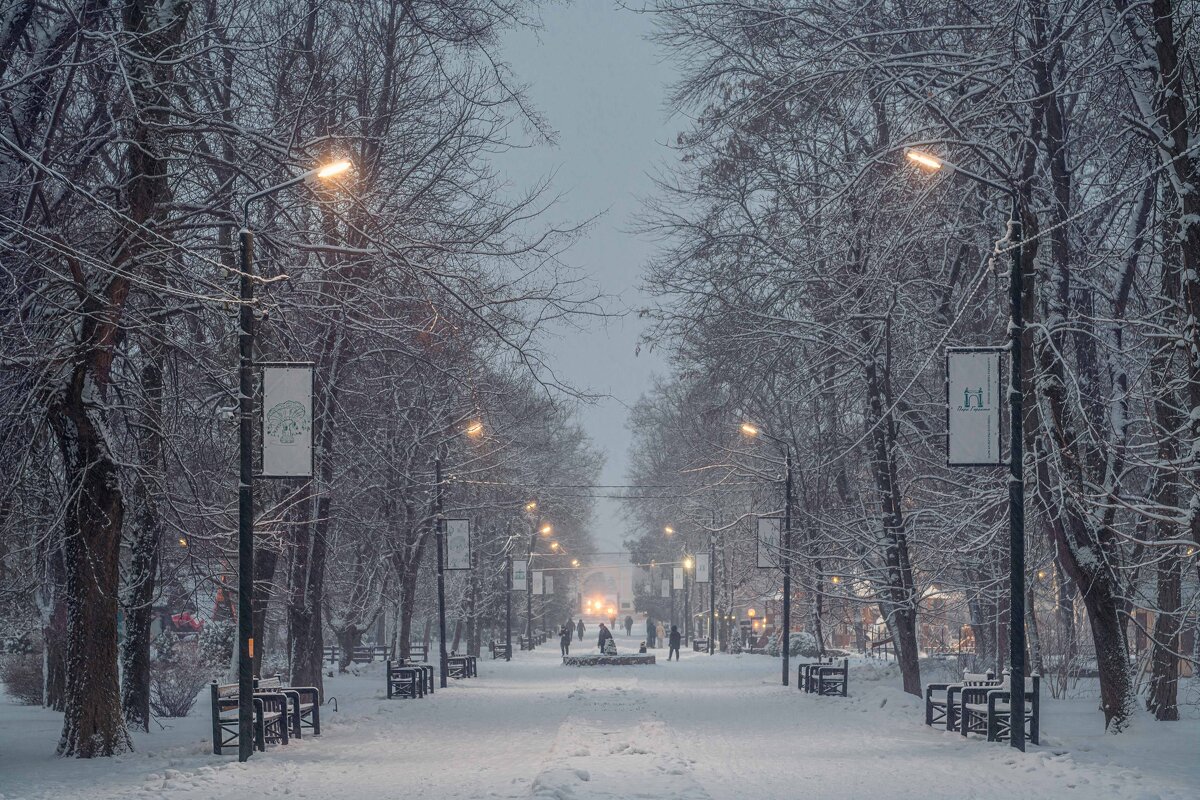 Вечерние сумеррки в зимнем парке - Константин Бобинский