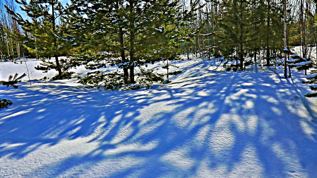 Март...Голубые тени на снегу - Владимир 