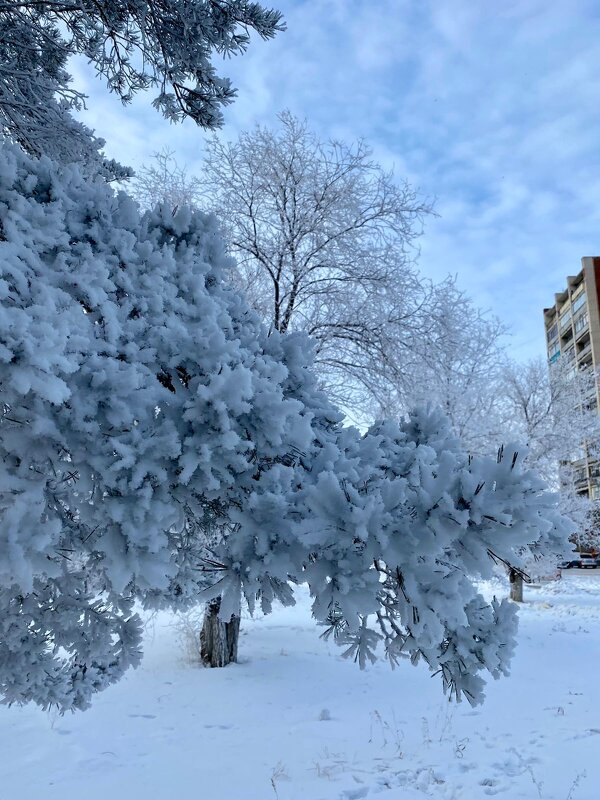 Зима в городе - Нина Колгатина 