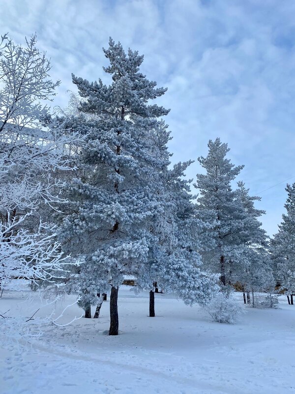 Зима в городе - Нина Колгатина 