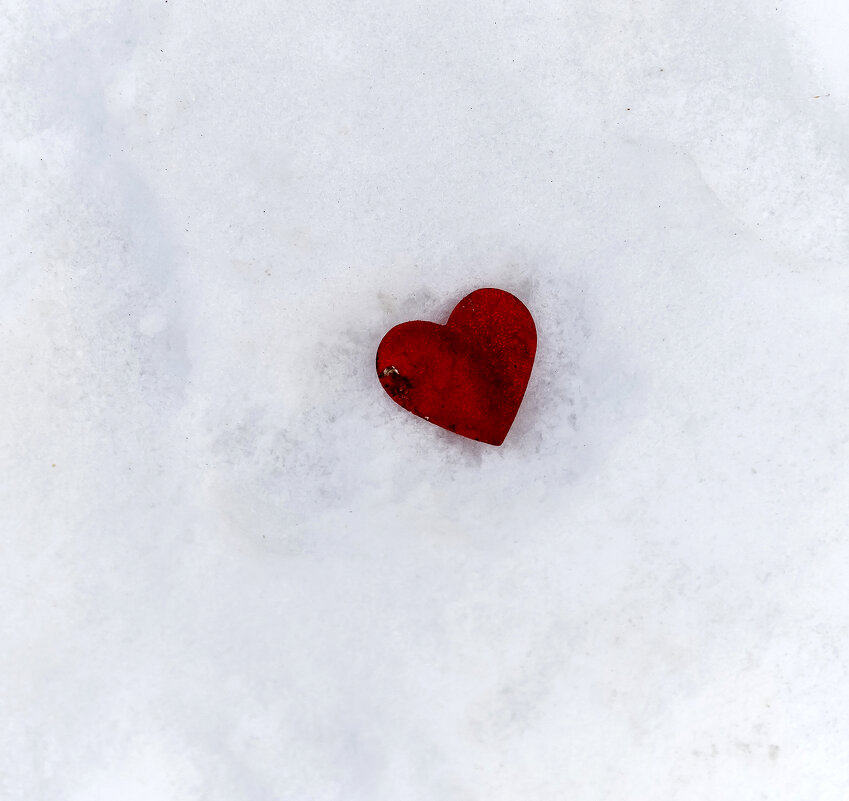 Сердце на снегу - Валерий Иванович