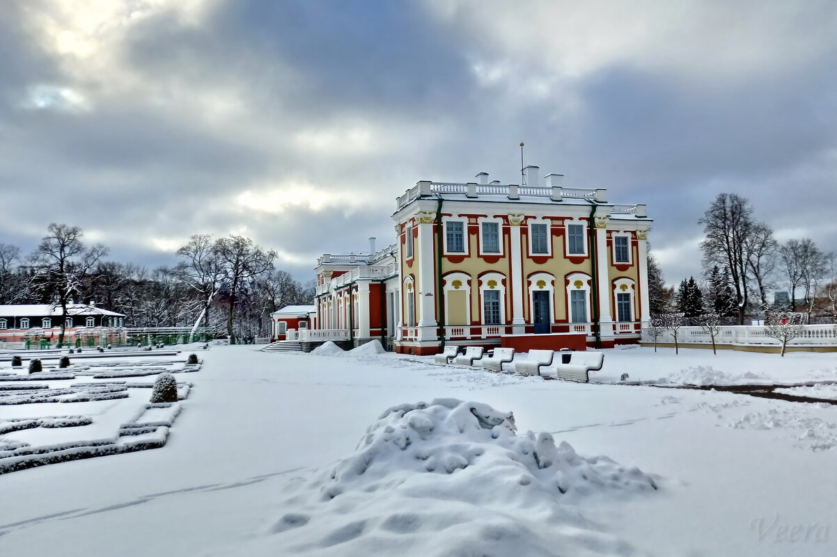 В зимнем парке Кадриорг - veera v