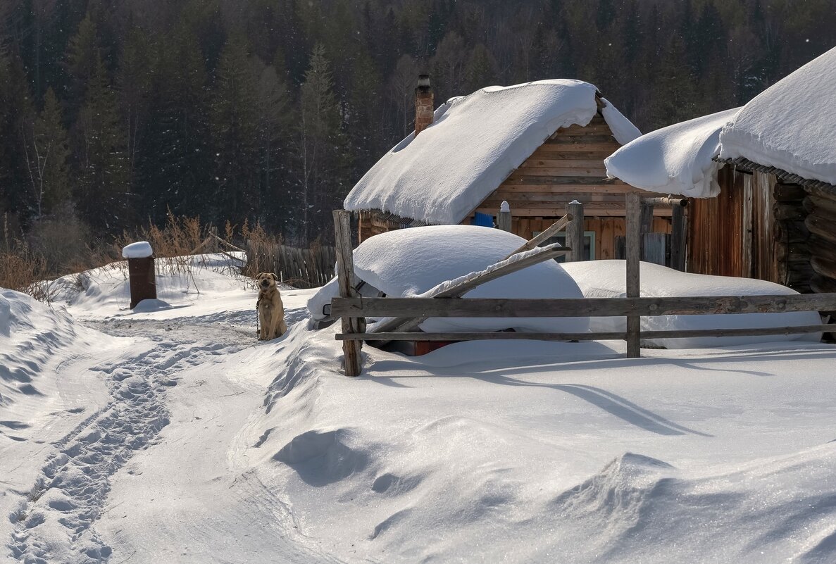 Зима в провинции - Марина Фомина.