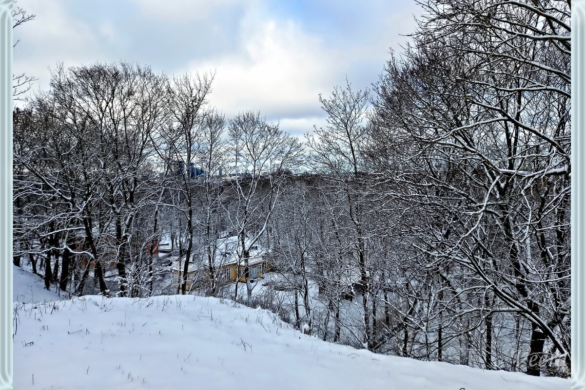 В зимнем парке Кадриорг - veera v