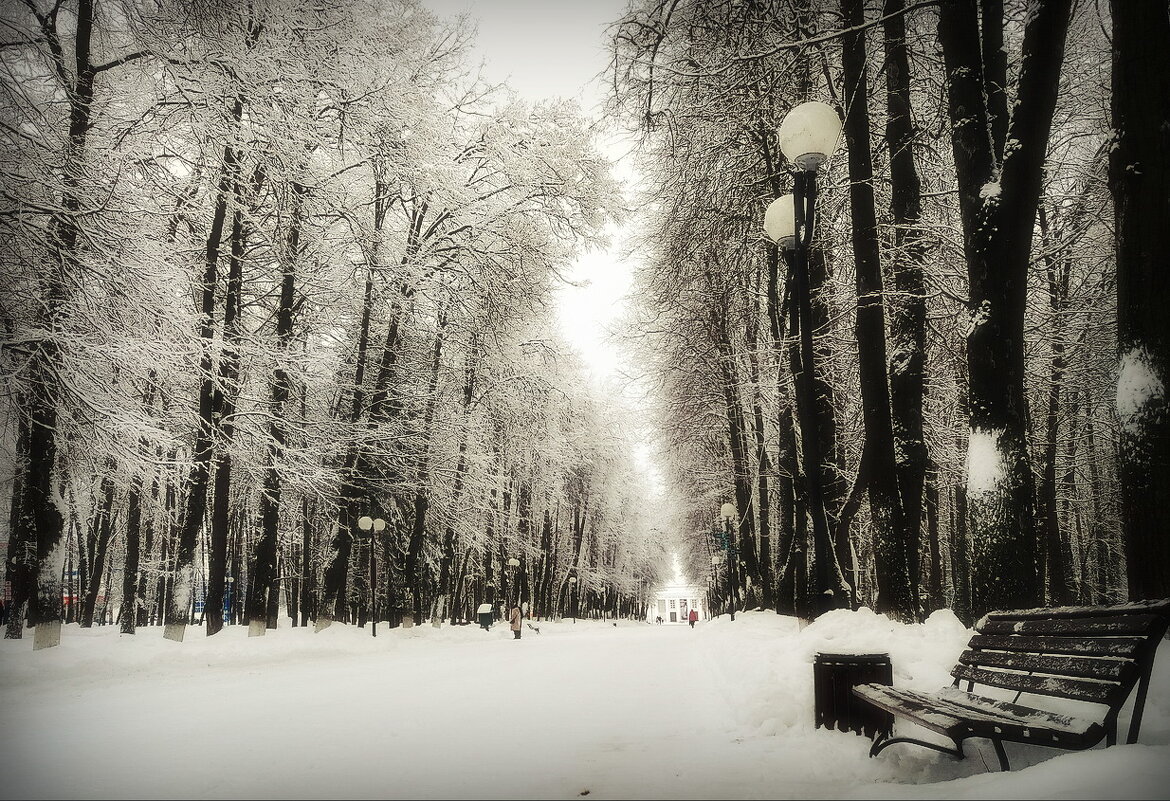 В зимнем парке... - Владимир Шошин