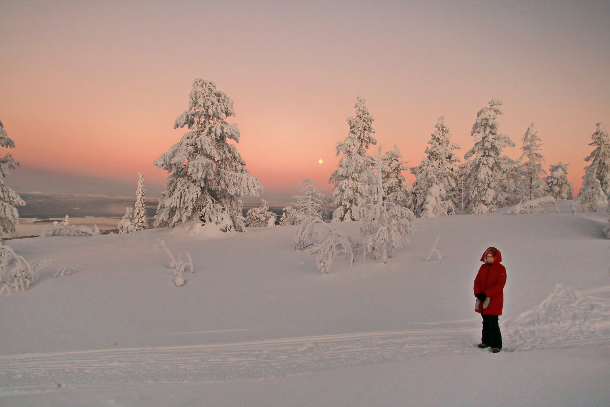 Одинокая фигурка на фоне снежного безмолвия. - Ирина Нафаня