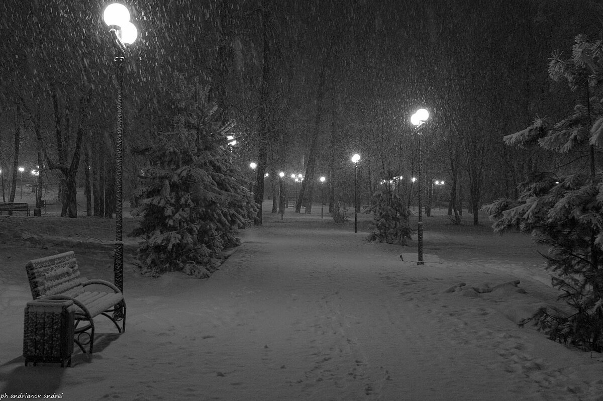 Снегопад в ночном парке. - Андрей Андрианов