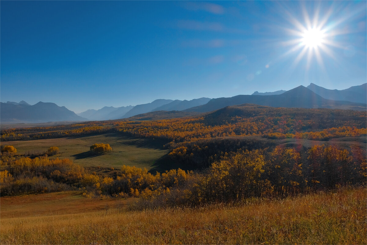 Alberta. Canada. - Alexander Hersonski