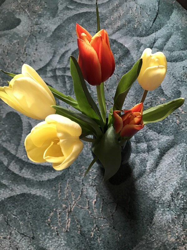 Весна. Тюльпаны - Татьяна Юрасова