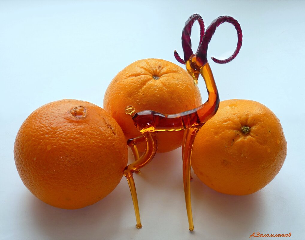 Сказка о трёх апельсинах... - Андрей Заломленков (настоящий) 