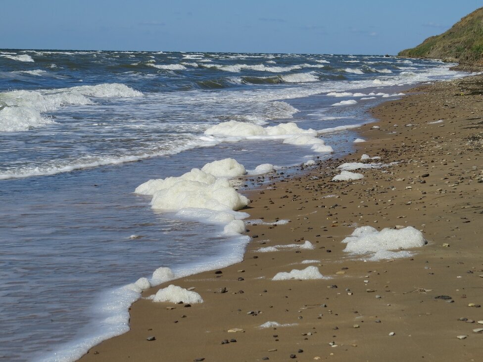 Азовское море - Вера Щукина