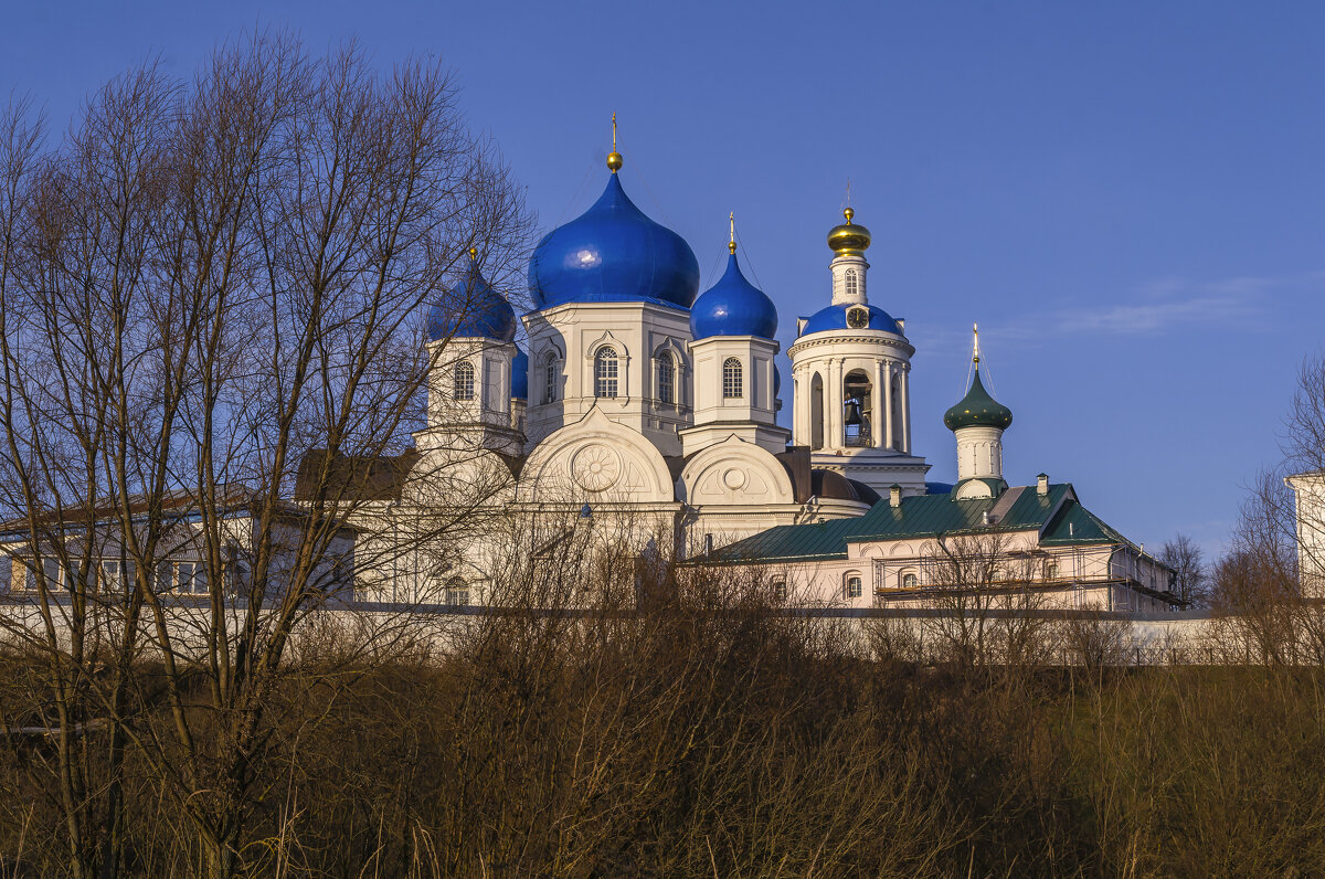 Купола Боголюбовского монастыря - Сергей Цветков