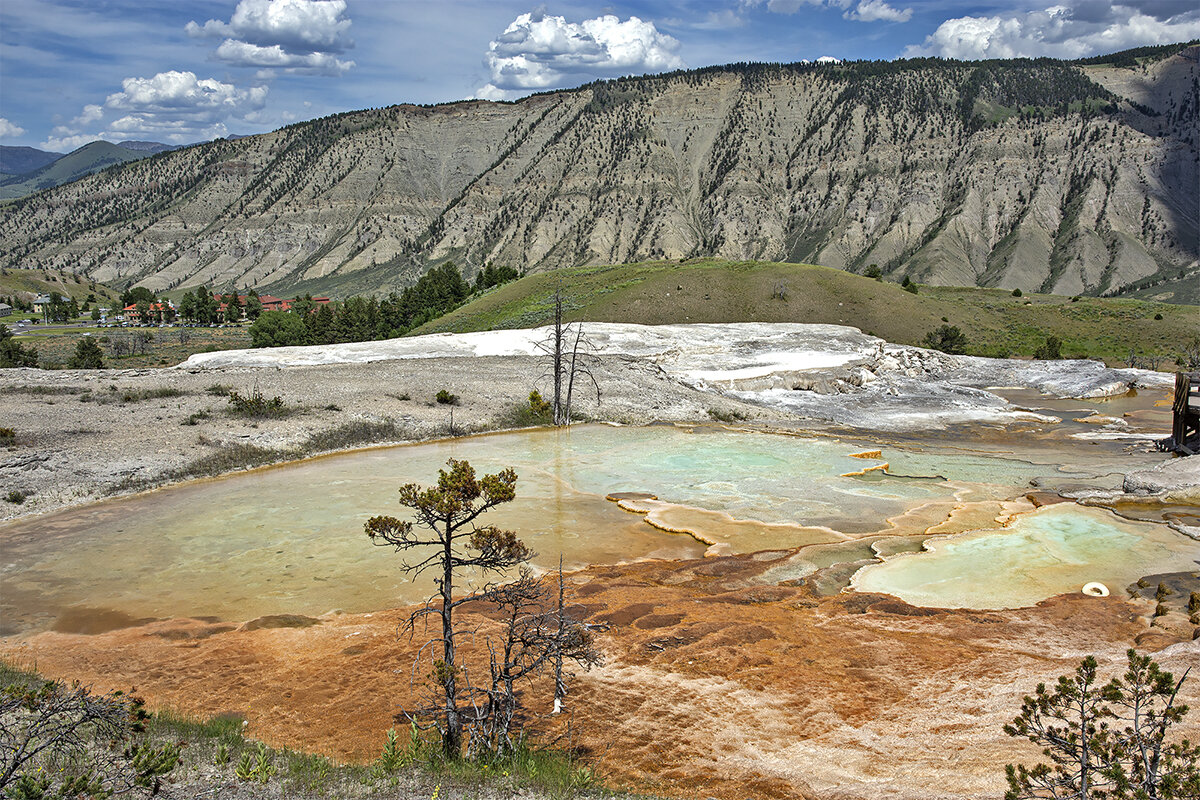 Mammoth Hot Springs - Petr @+