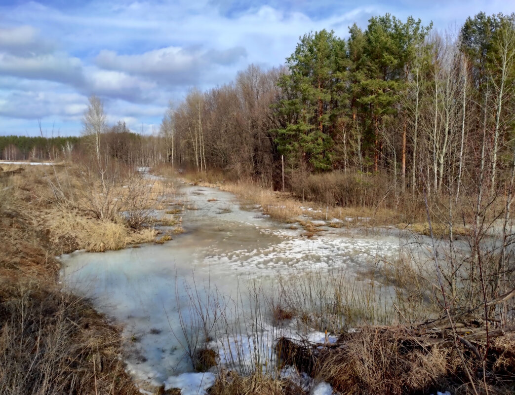 Природа  в марте - Ната Волга