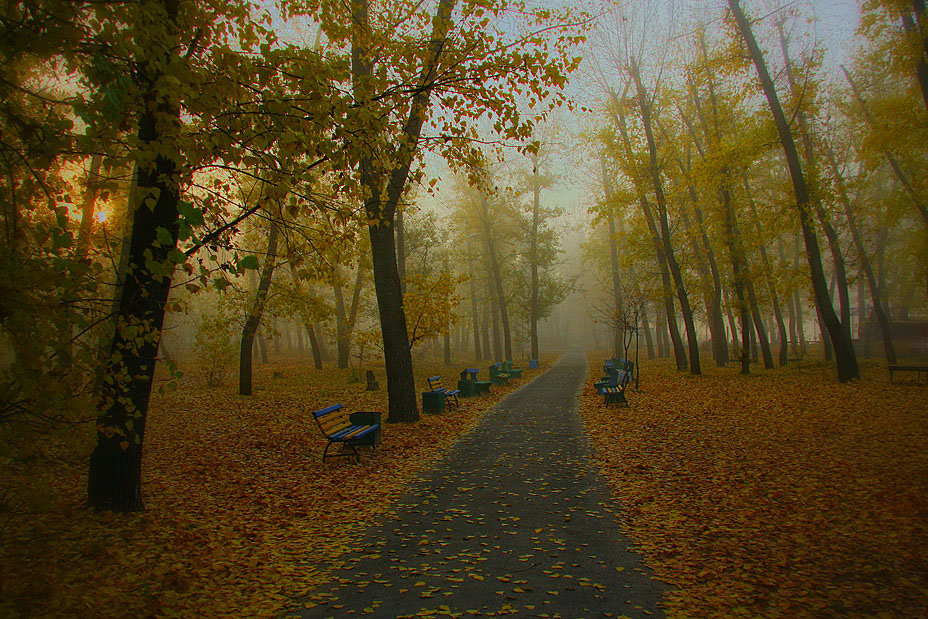 Осенний парк - Олег Самотохин