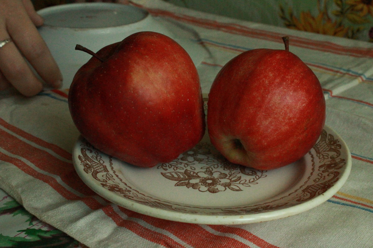 яблочки - Irina Osetrova