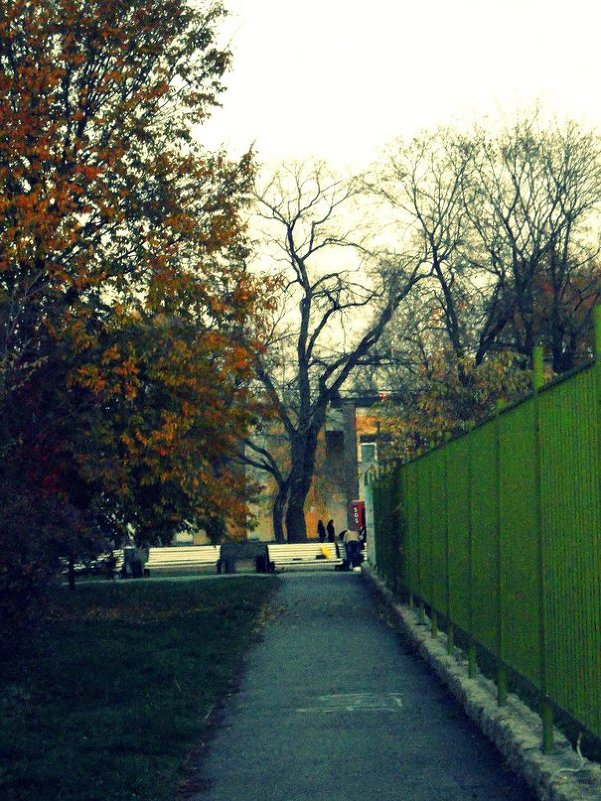 парк челябинска - Anna Skornjakova