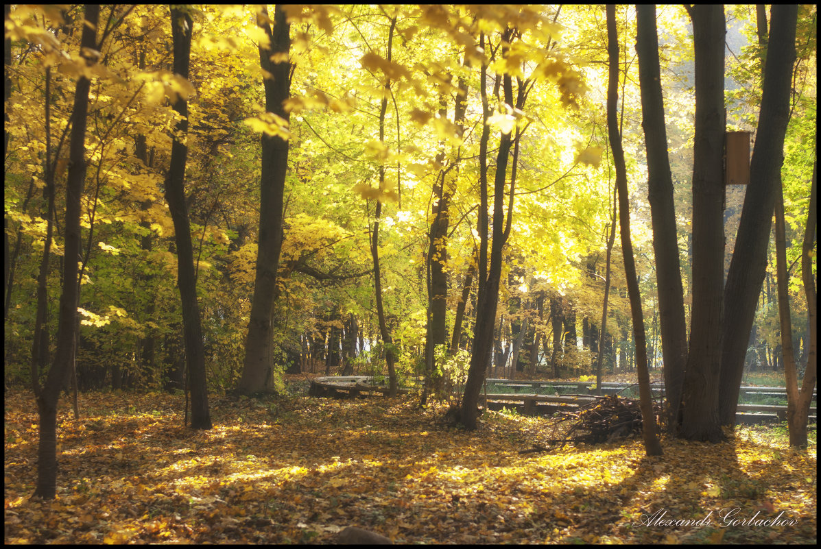 Осень - Александр Горбачев