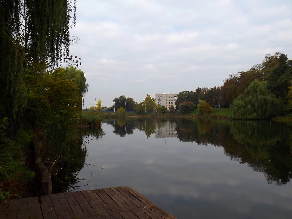 The autumn. Andrushovka - Lida Blazhko