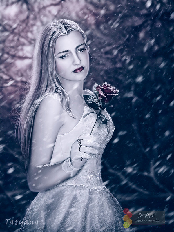 Роза в снегу - Татьяна 