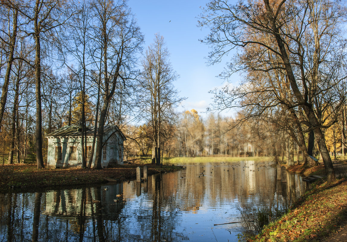 Александровский парк. Царское село. - Наталия Шишкина