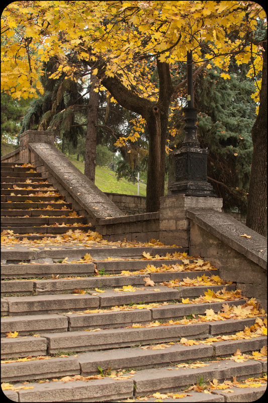 старая лестница - Борис Калюжный