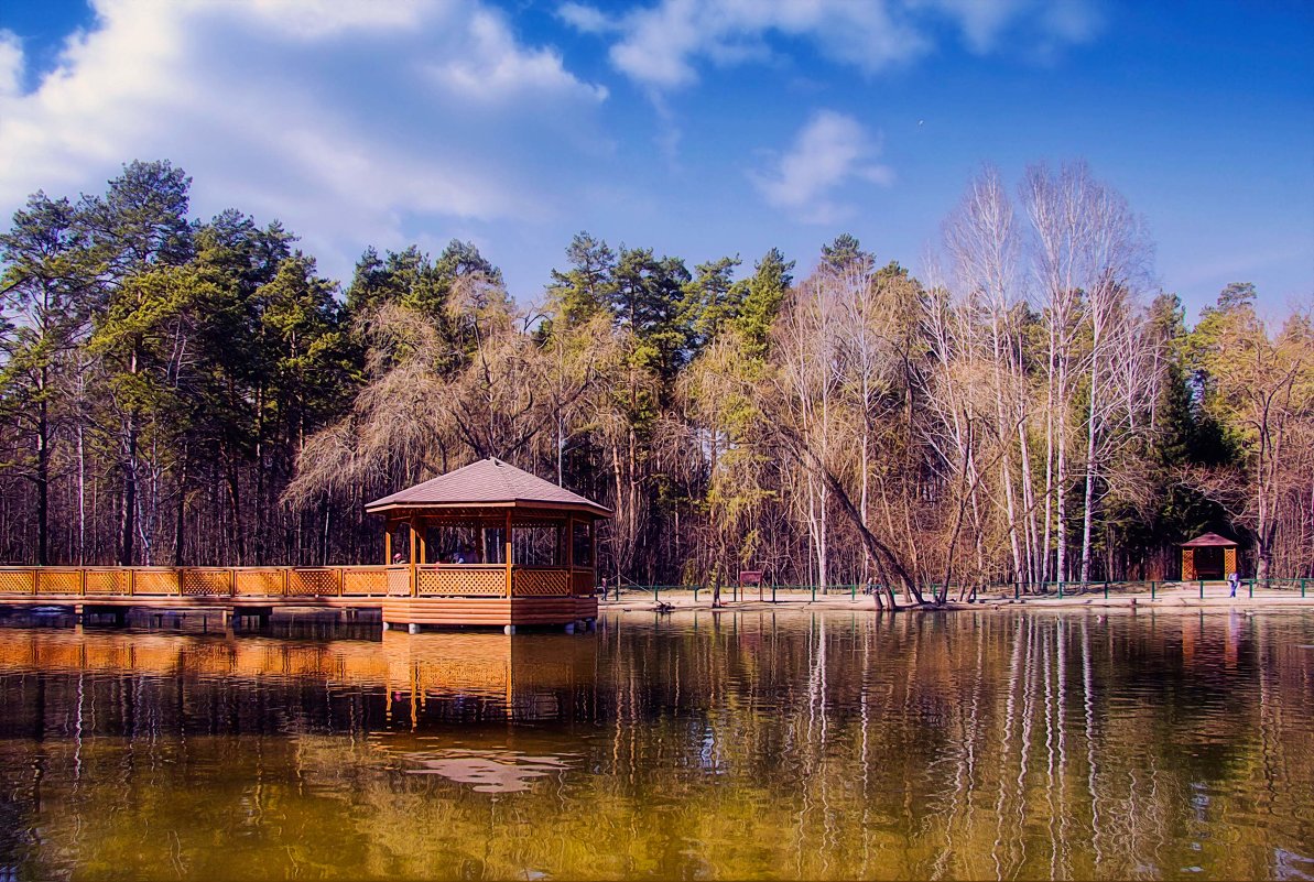 Озеро в Новосибирском зоопарке - Елена Черненко