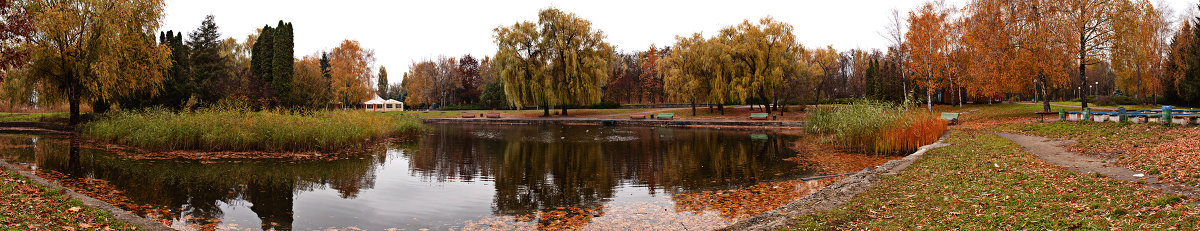 Осень в парке у пруда - Паша Кириченко