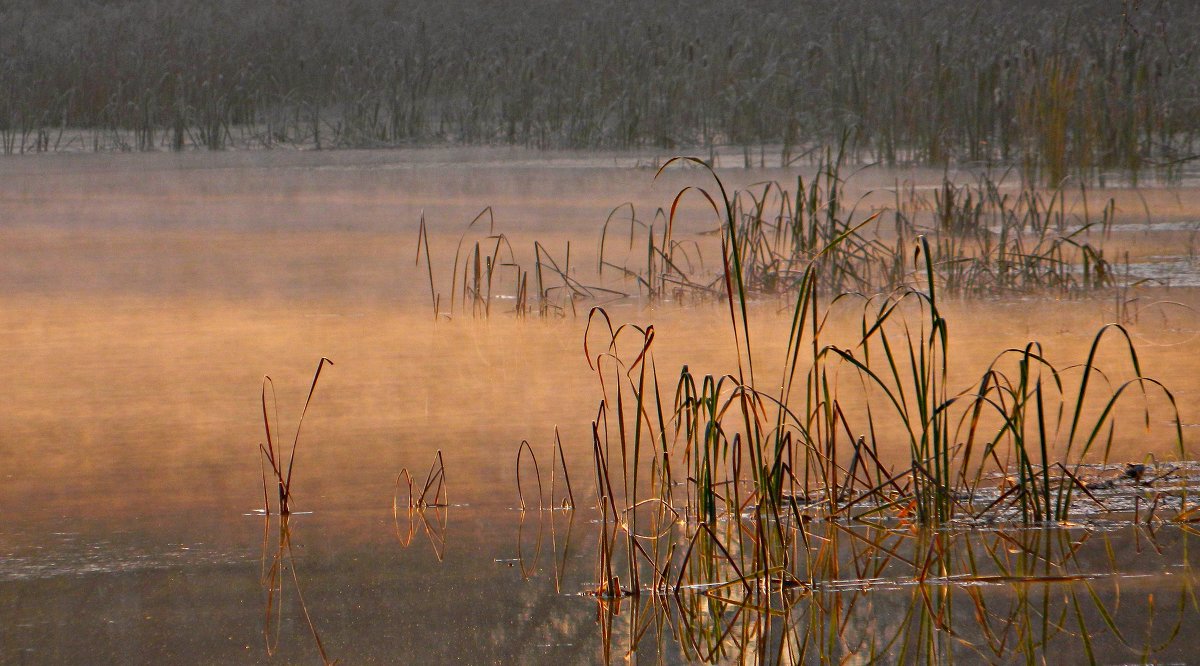 Морозное утро на озере 23 октября 2013 - Olenka 