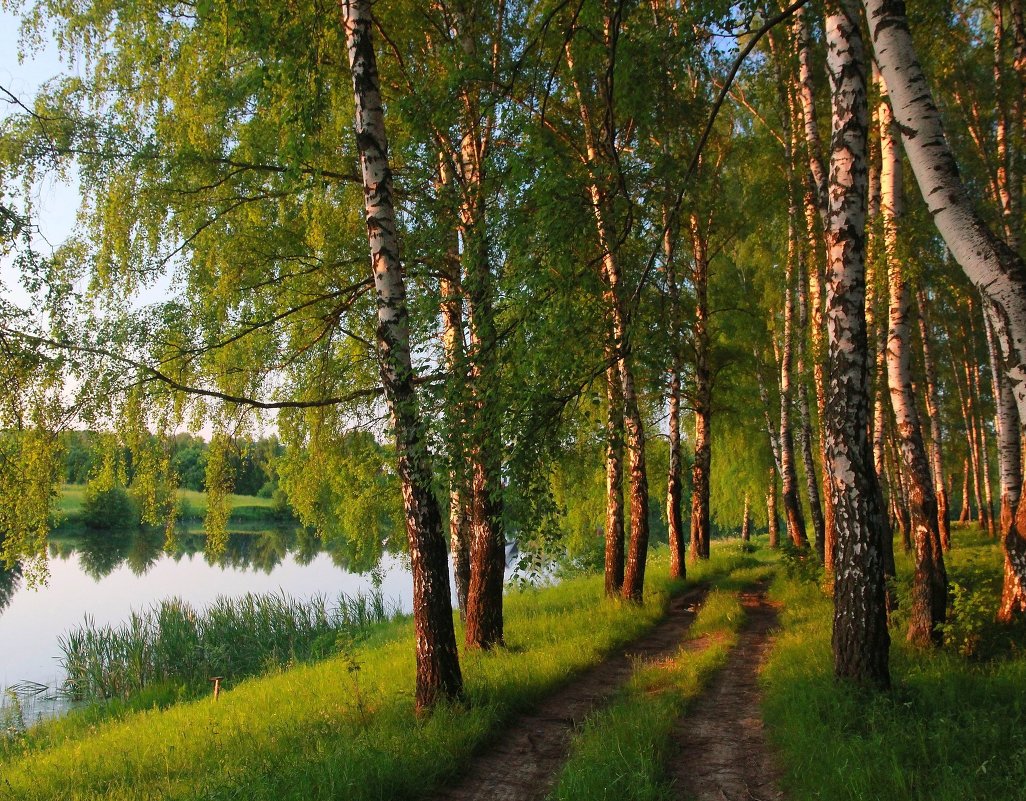 Дорога у озера - Victor Klyuchev