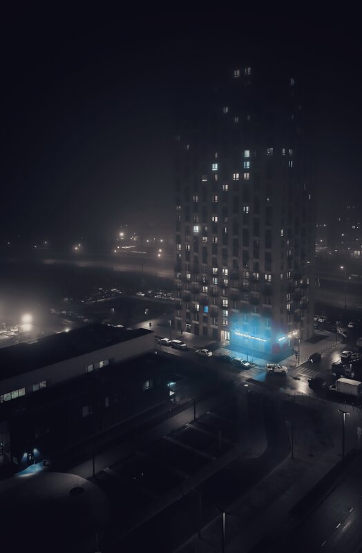 Ночь в тумане - Ольга 