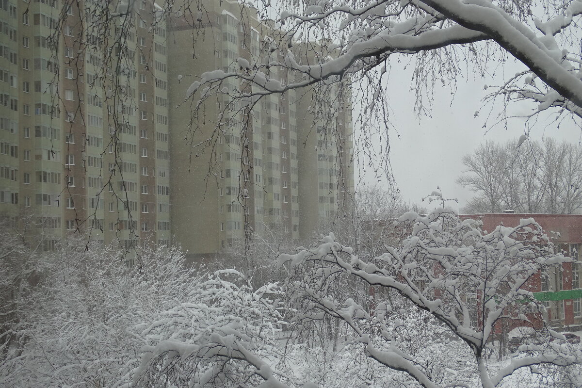 вид из окна в снежный день - Anna-Sabina Anna-Sabina