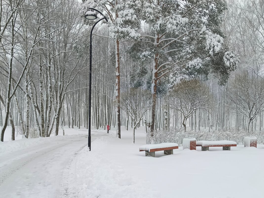В парке после снегопада - Мария Васильева