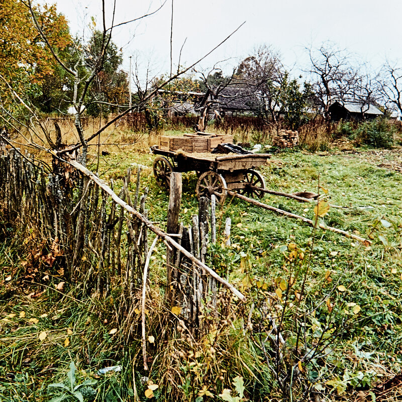 FEP Fotograaf Arkadi Baranov, Tallinn - Аркадий  Баранов Arkadi Baranov