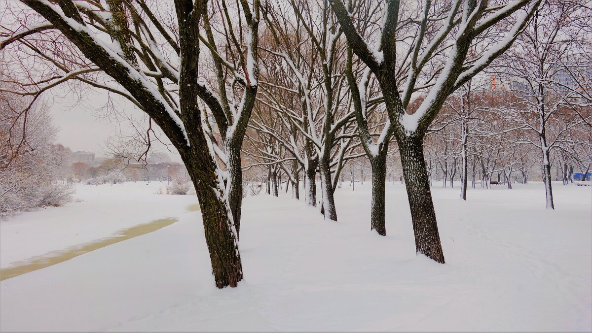 Снежное очарование... - Sergey Gordoff