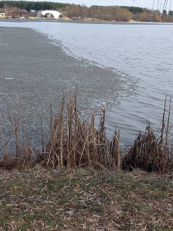Остатки льда на реке - Ася Коршик